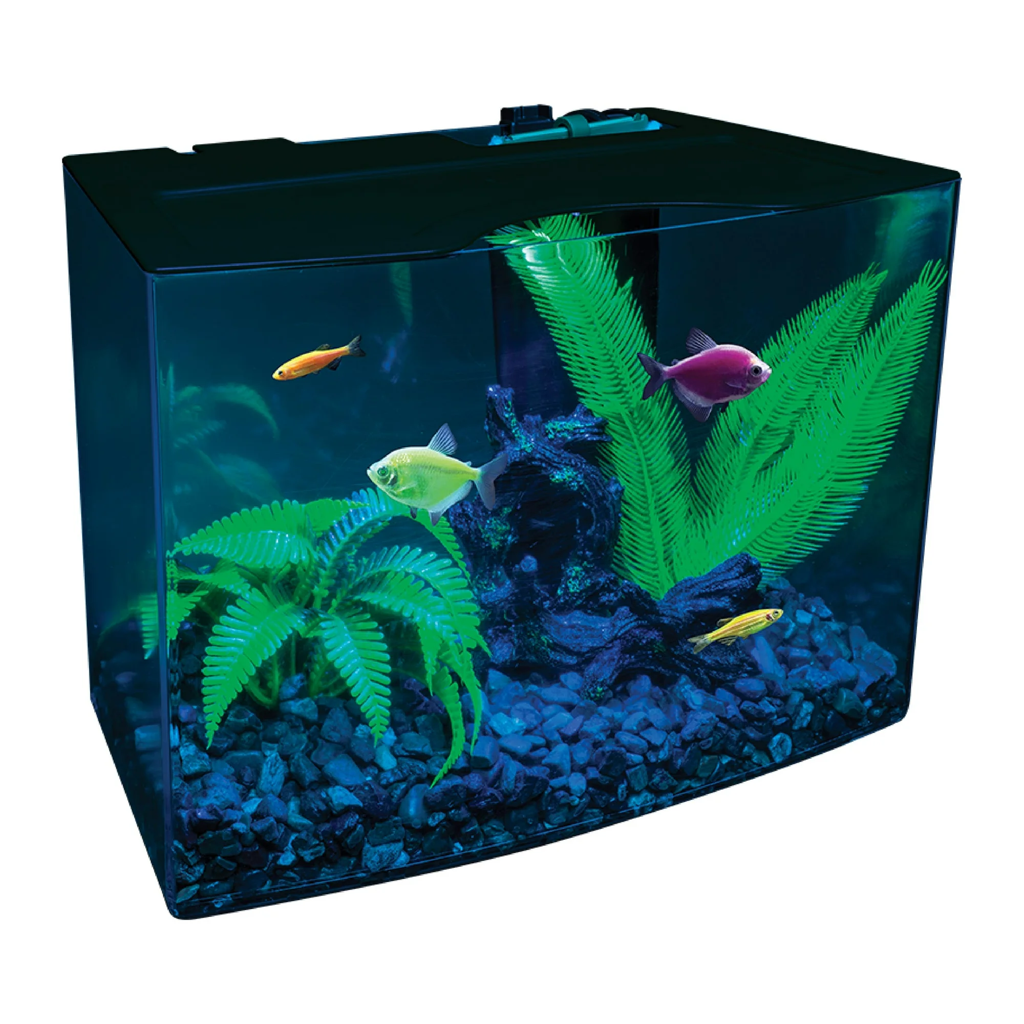 GloFish Crescent Aquarium Kit 3 Gallons, Includes Hidden Blue LED Light and Internal Filter